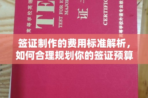 代县签证制作的费用标准解析，如何合理规划你的签证预算