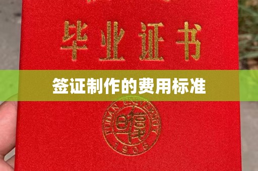 代县签证制作的费用标准